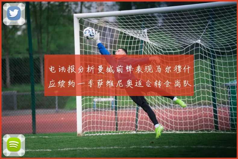 电讯报分析曼城前锋表现马尔穆什应续约一季萨维尼奥适合转会离队