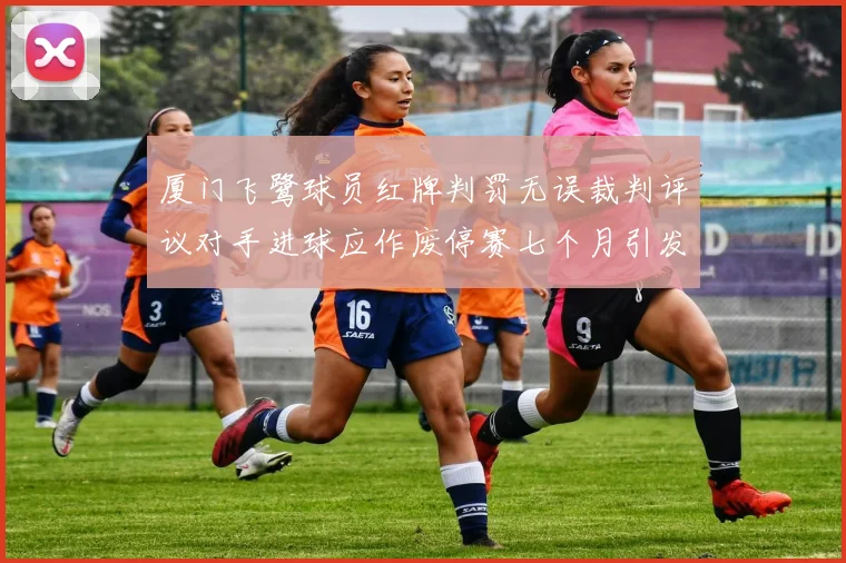 厦门飞鹭球员红牌判罚无误裁判评议对手进球应作废停赛七个月引发热议